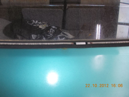 DSCN7206
